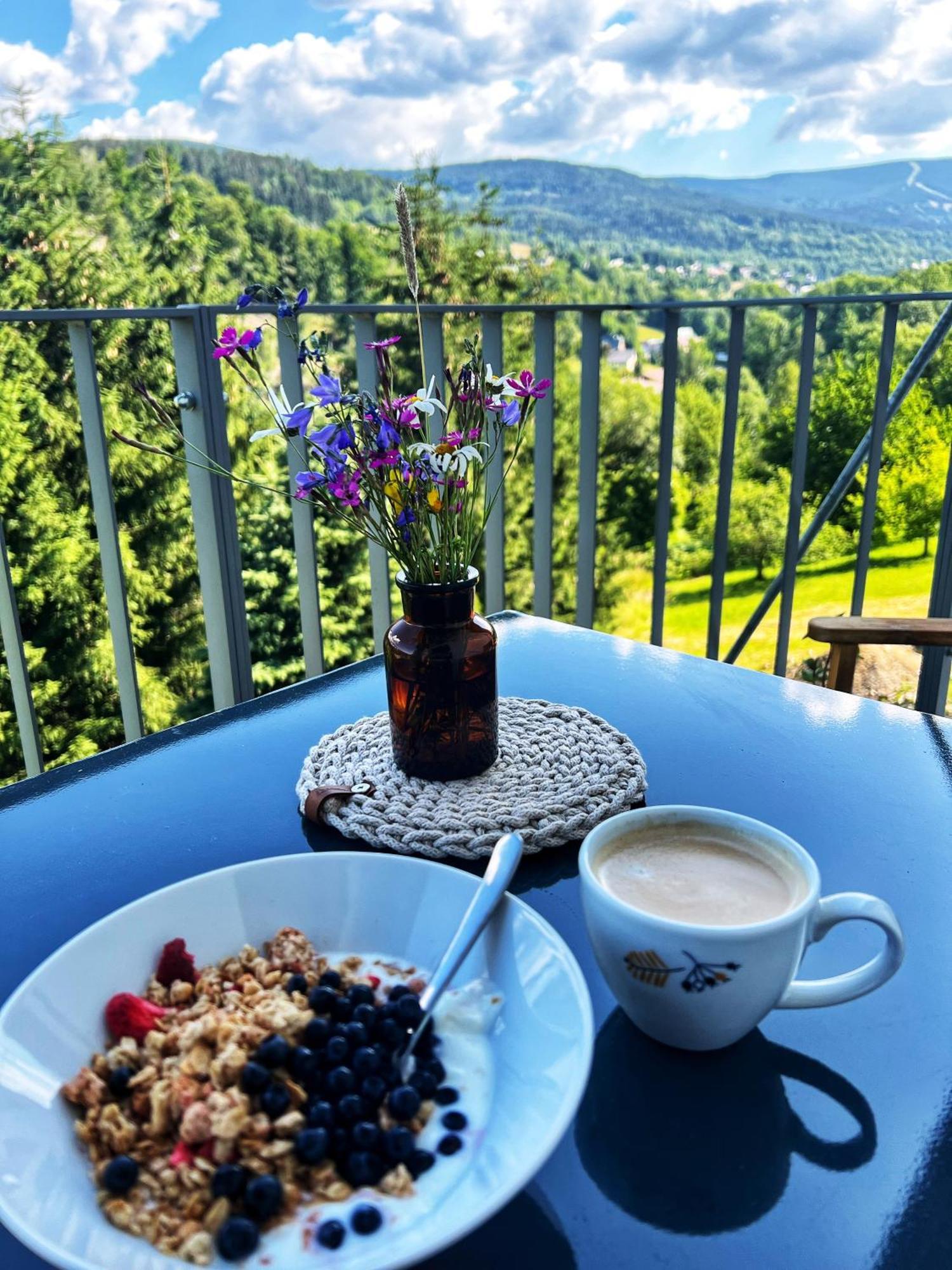 Apartman Vista Rokytnice Rokytnice nad Jizerou Exterior foto